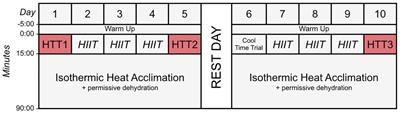 Nine-, but Not Four-Days Heat Acclimation Improves Self-Paced Endurance Performance in Females